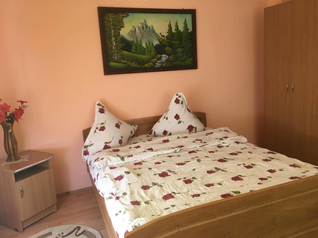 Pensiunea Vasilica Ceterasu Onceşti Exterior foto