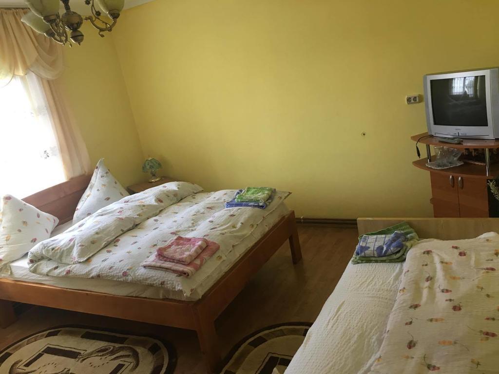 Pensiunea Vasilica Ceterasu Onceşti Exterior foto